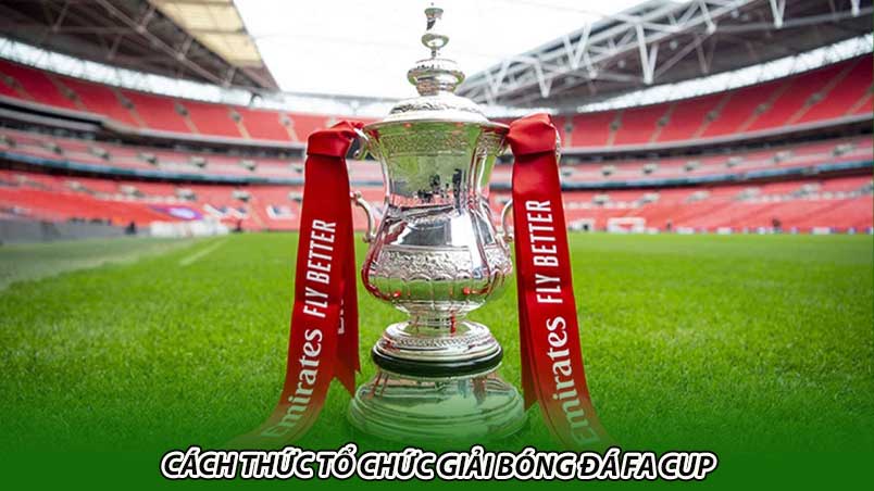 Cách thức tổ chức giải bóng đá Fa Cup