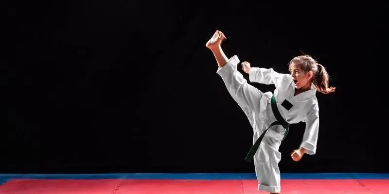 Các hệ thống võ thuật phổ biến trên thị trường hiện nay