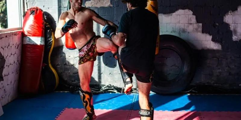 Đôi nét về giải vô địch MMA sư tử