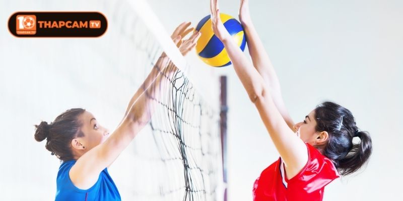 Kích thước sân trong luật bóng chuyền