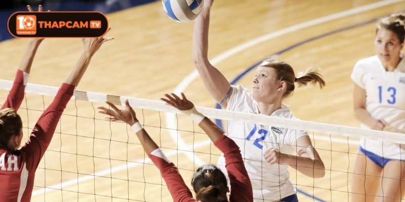 Lưu ý khi truy cập website Thapcam tìm kiếm thông tin