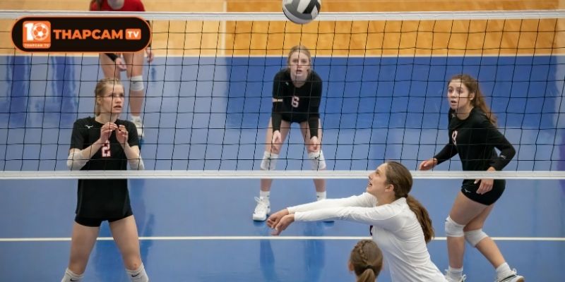 Tin tức về bóng chuyền nữ Nhật Bản luôn hấp dẫn người chơi